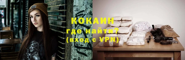 гидра Алексин