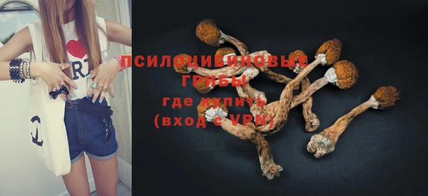 спиды Алзамай