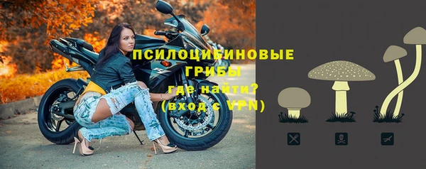 шишки Алексеевка